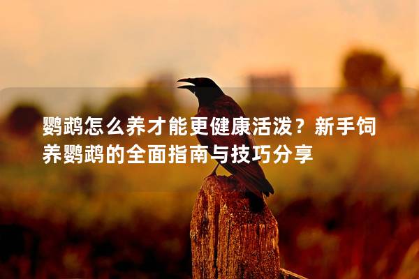 鸚鵡怎么養才能更健康活潑？新手飼養鸚鵡的全面指南與技巧分享